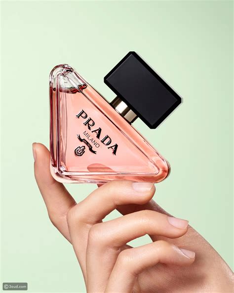 perfume prada long|prada paradoxe fragrantica.